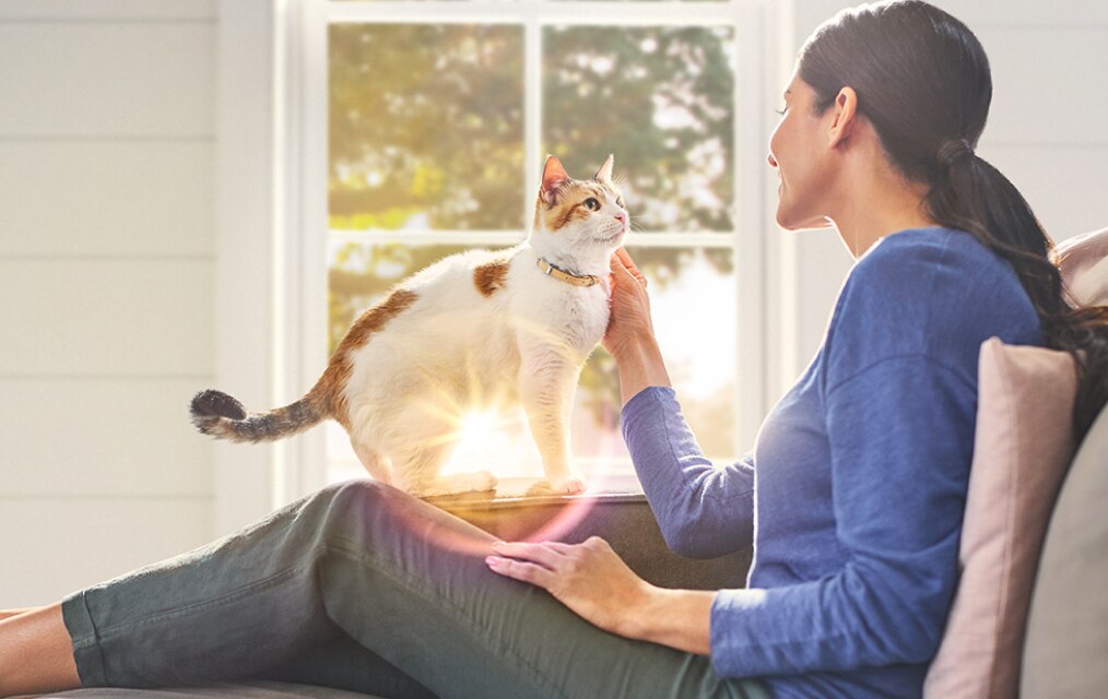 Chat avec une personne