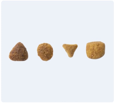 Forme de la croquette