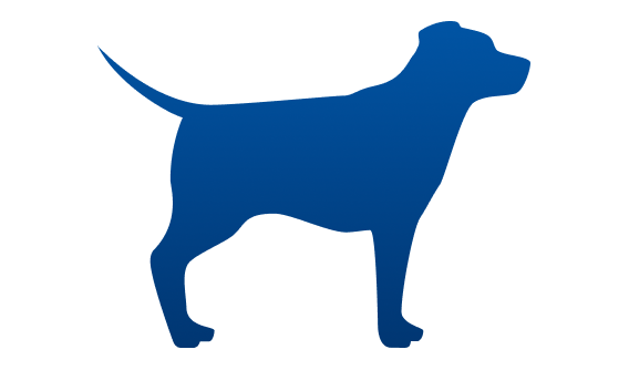 chien de poids idéal