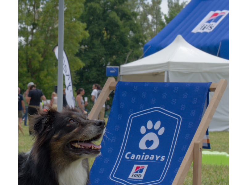 Canidays avec Hill's