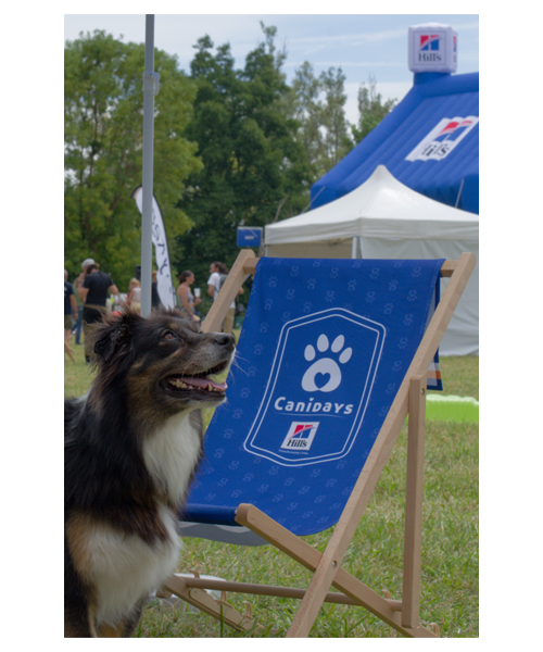 Canidays avec Hill's