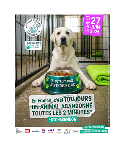 Journée Mondiale contre l'Abandon