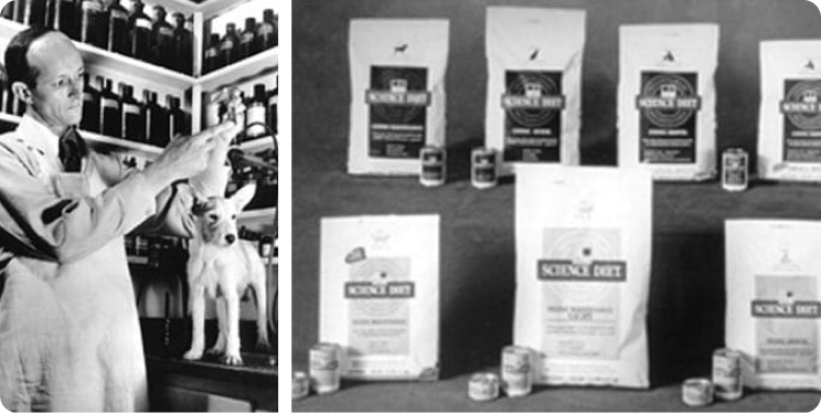 Dr. Mark Morris Jr. working with a pet  