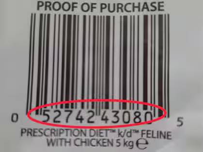 Chat jouant avec son maître